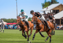 How many players are on each polo team?