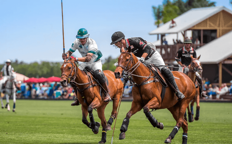 How many players are on each polo team?