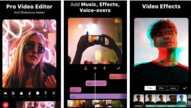 Top Video Editors for Instagram Reels and TikTok Videos