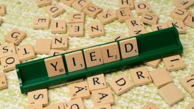 dividend yield fund management