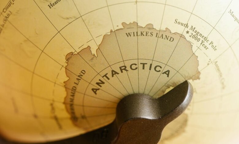 global magnification strategy 13i19av