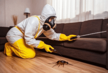 Exterminator Services Essential for Effective Pest Control