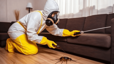 Exterminator Services Essential for Effective Pest Control