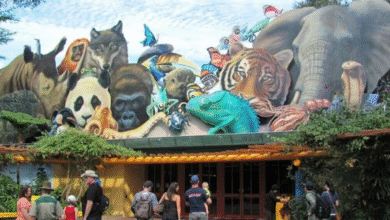 Discover the Largest Zoos in the World – 2025 Travel Picks