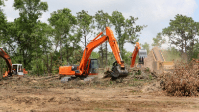 Brush Clearing Techniques for Efficient Land Management