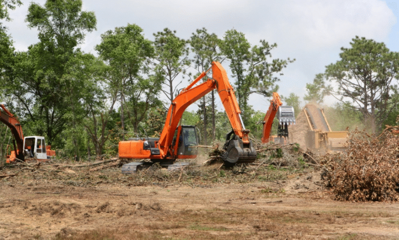 Brush Clearing Techniques for Efficient Land Management