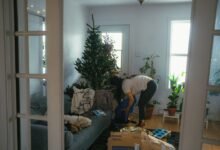 Junk Removal: A Necessity for Homeowners and Renters Alik