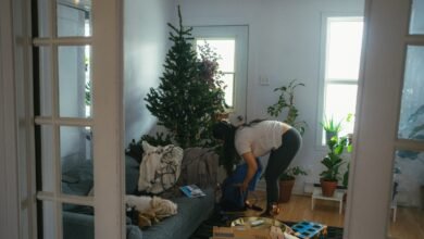 Junk Removal: A Necessity for Homeowners and Renters Alik