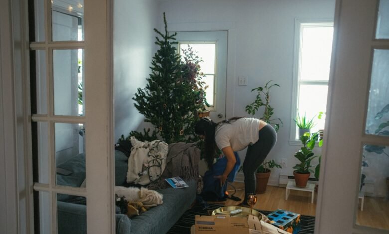 Junk Removal: A Necessity for Homeowners and Renters Alik