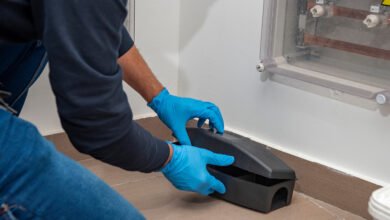 Chelmsford Pest Control