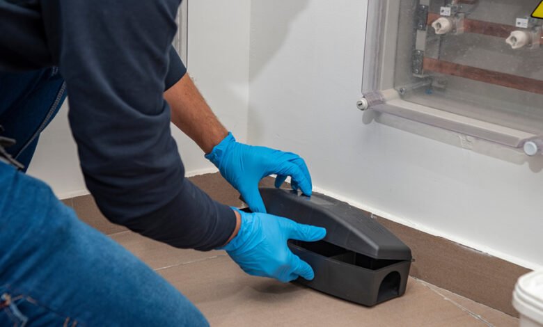 Chelmsford Pest Control