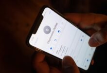 support hotlines available now