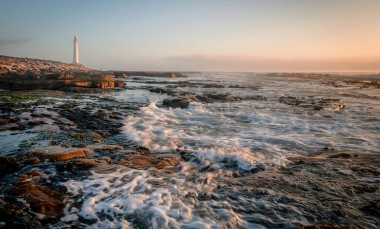 commercial signal discovery report