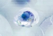 data intelligence signal structuring