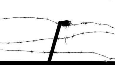 industry intelligence situational analysis