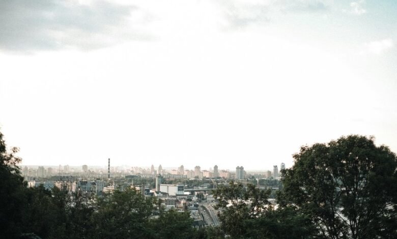 digital growth strategy implementation