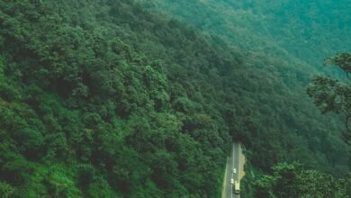 fusion drive engagement strategy