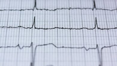 luminous growth ladder 713620000