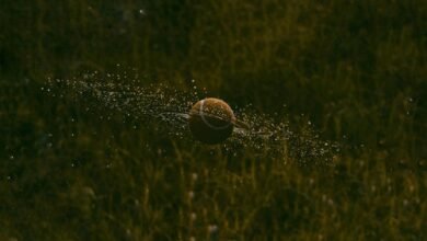 market momentum analysis flow