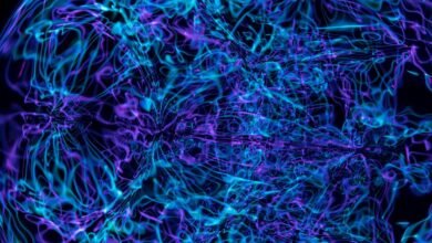 stellar neural pulse technology