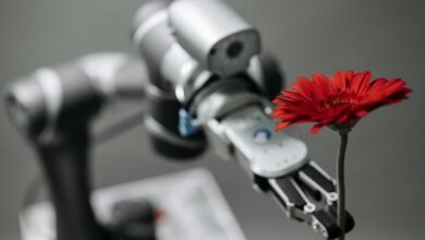 strategic development and progress